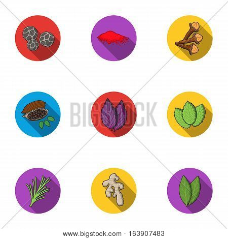 Herb and spices set icons in flat style. Big collection of herb and spices vector symbol stock