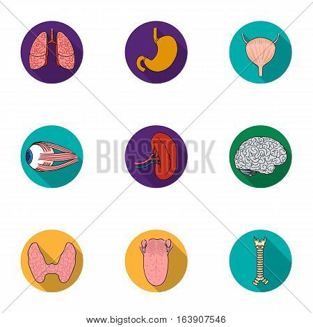 Human organs set icons in flat design. Big collection of human organs vector symbol stock illustration