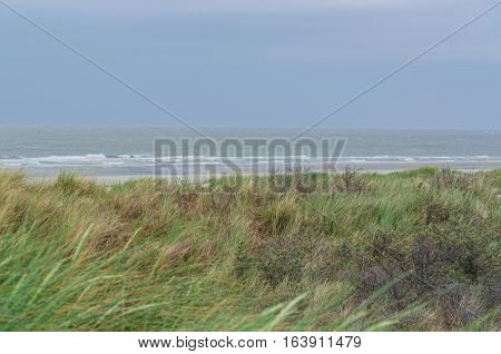 Sea grass and dunes. In the background the stormy North Sea in Holland.
