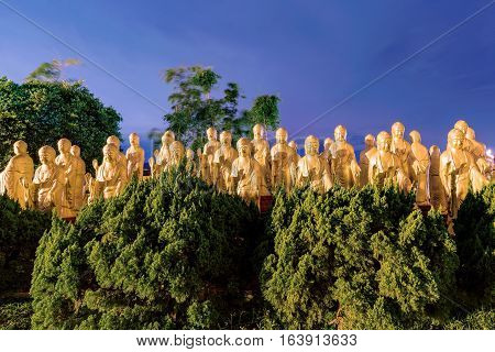 Gold Buddha statues with nature at night