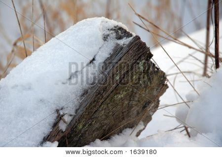Legno nella neve
