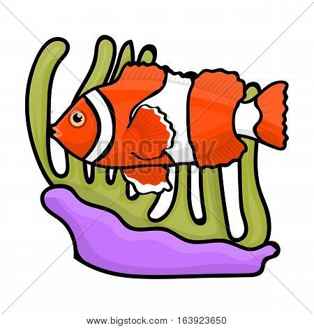 Clownfish and anemone icon in cartoon design isolated on white background. Australia symbol stock vector illustration.