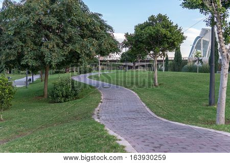 Bike lane between trees in Jardin del Turia in Valencia Spain. Tile cycleway on the grass, bikeway for cyclists only