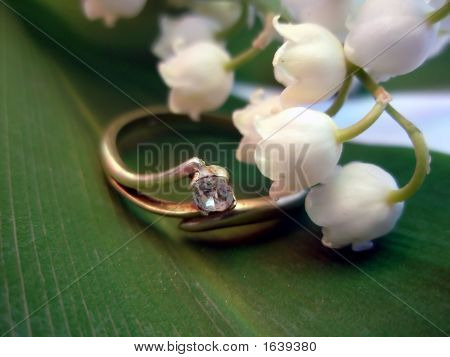 Lily_Of_The_Valley_And_Rings