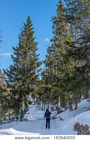 Winter in High Tatras Mountains. High Tatry. Slovakia. Vysoke Tatry. Sunny day. Cross Country Skiing.