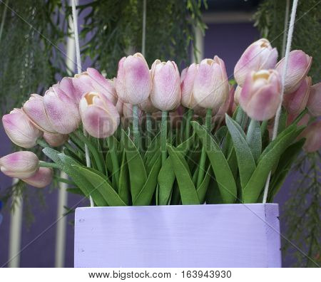 Delicate Bouquet Of Tulips In A White Pot To The Women's Day