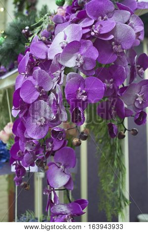 Bouquet Of Bright Pink And Purple Flowers Hanging From The Roof Of The Store