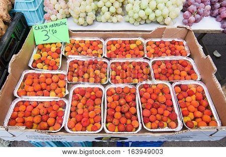 Madronos Market Display