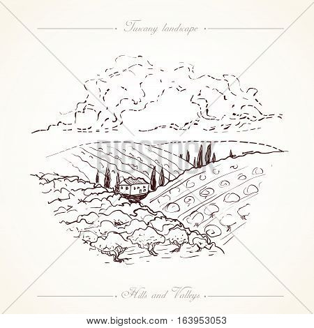 Tuscany landscape with fields, hills. Hand drawn vineyard or olives gardens rural landscape. Travel sketch old farm house. For farmer brochure travel, label. Vector illustration stock vector.