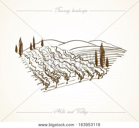 Tuscany landscape with fields, hills. Hand drawn vineyard or olives gardens rural landscape. Travel sketch old farm house. For farmer brochure travel, label. Vector illustration stock vector.