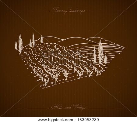 Tuscany landscape with fields, hills. Hand drawn vineyard or olives gardens rural landscape. Travel sketch old farm house. For farmer brochure travel, label. Vector illustration stock vector.