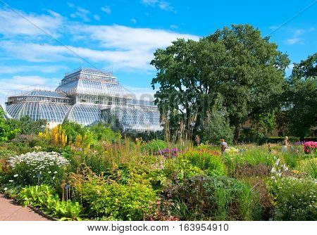 SAINT-PETERSBURG, RUSSIA, AUGUST 3, 2016: People walk in Peter the Great Botanical Garden (Botanic Gardens of the Komarov Botanical Institute of of the Russian Academy of Sciences)