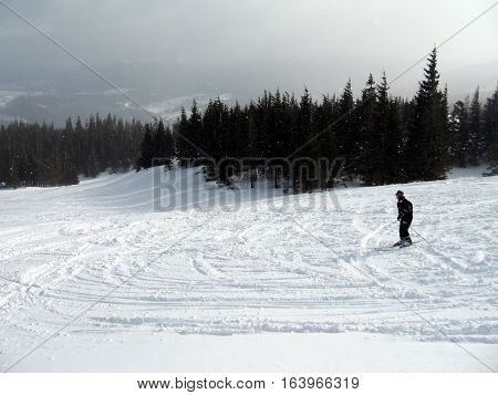 A skier in the forest thick snow