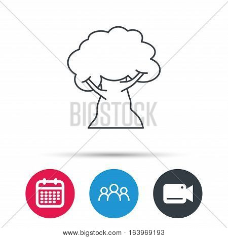 Oak tree icon. Forest wood sign. Nature environment symbol. Group of people, video cam and calendar icons. Vector