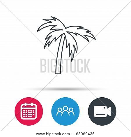 Palm tree icon. Travel or vacation symbol. Nature environment sign. Group of people, video cam and calendar icons. Vector