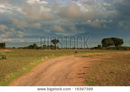 Savana africana