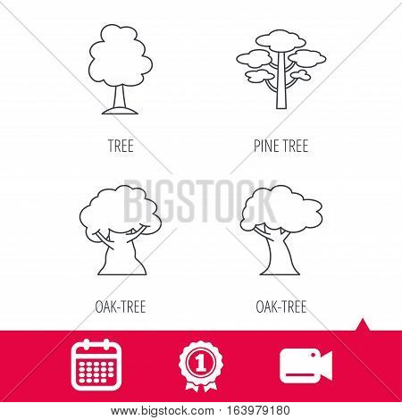 Achievement and video cam signs. Pine tree, oak-tree icons. Forest trees linear sign. Calendar icon. Vector