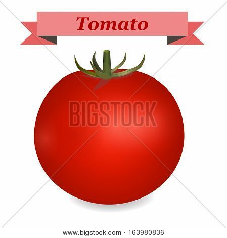 Very high quality original trendy vector realistic tomato illustration for sell, juice, background, label, menu, engridients