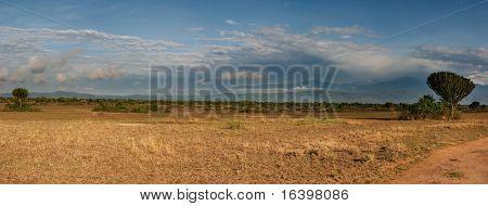 Savana africana in Queen Elizabeth N.P., Uganda