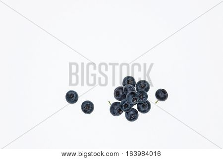 closeup of highbush blueberries isolated on white background