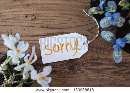Label With English Text Sorry. Spring Flowers Like Grape Hyacinth And Crocus. Aged Wooden Background