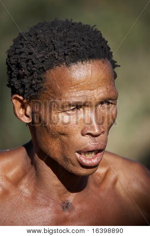 Bushman