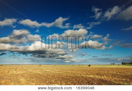 Letní krajina s hayfield a modré nebe