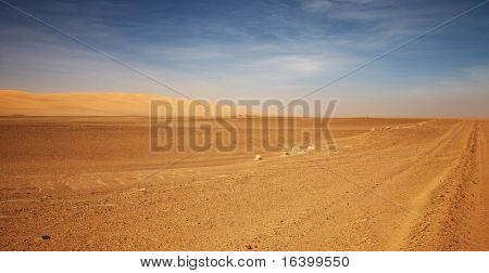Deserto del Namib, Skeleton Coast, Namibia