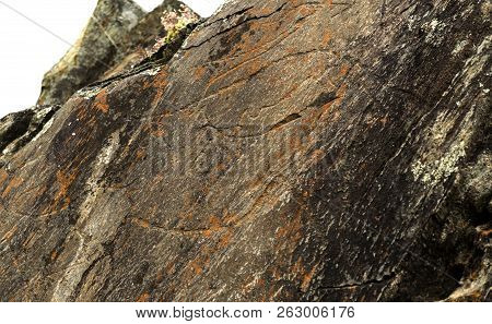Coa Valley, Portugal - June 22, 2018:  The Prehistoric Rock Art Site Of The Coa Valley Is An Open Ai