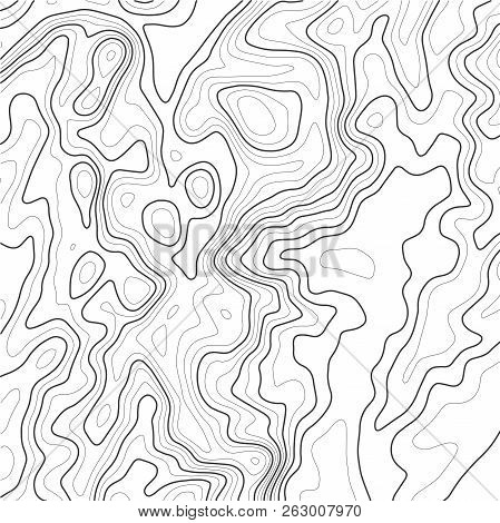 Line Topographic Map Contour Background. Vector Illustration