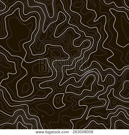 Topographic Map. Contour Map Vector. Vector Illustration