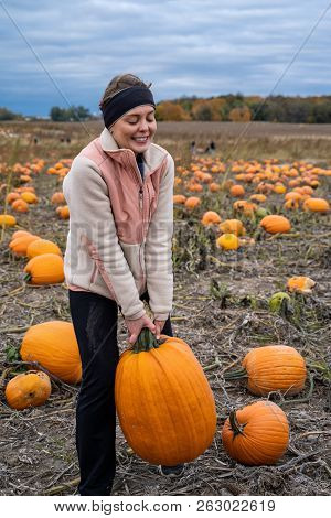 Adult Woman (30s) Attempts And Struggles To Lift And To Pick Up A Giant Pumpkin From A Pumpkin Patch