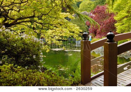 Broen i japansk have