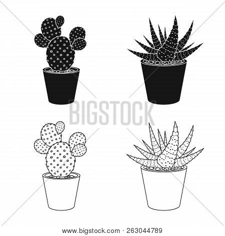 Vector Design Of Cactus And Pot Icon. Set Of Cactus And Cacti Vector Icon For Stock.