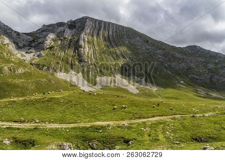 Beautiful Landscape In Montenegro With Fresh Grass And Beautiful Peaks. Durmitor National Park In Mo