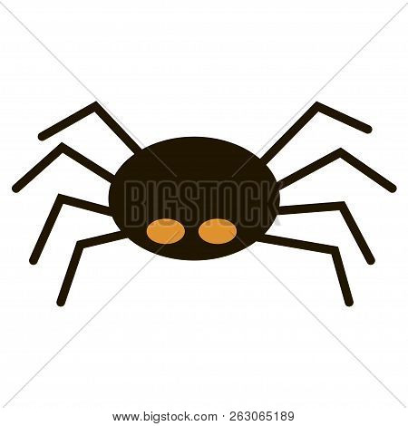 Scary Big Black Spider Isolated On White, Poisonous Isect