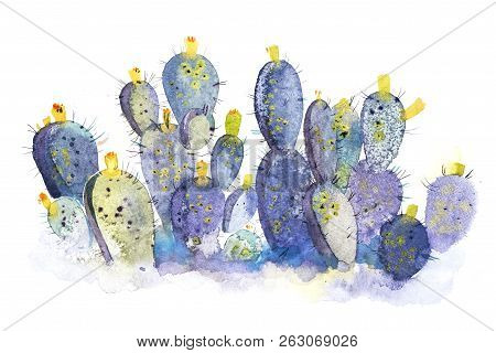 Watercolor Hand Drawn Spiky Cactus Bloom Flower