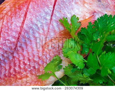 Fresh Fish Are Frozen Prepare To Cooking