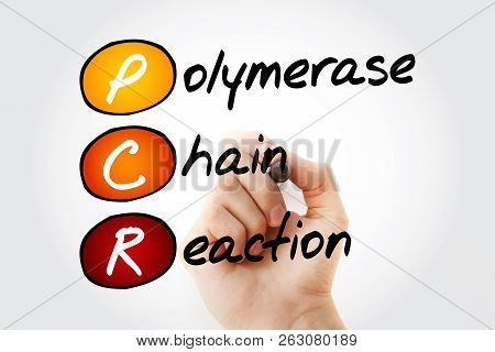 Pcr - Polymerase Chain Reaction, Acronym Health Concept Background