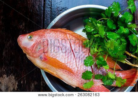 Fresh Fish Are Frozen Prepare To Cooking