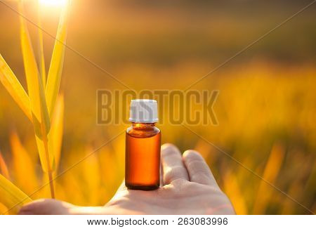 Bach Flower Remedies - Natural Medicine. Herbal Medicine Or Aromatherapy, Bottle.