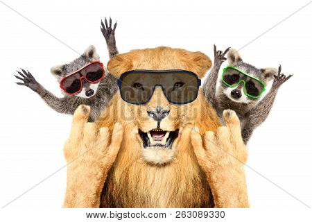 Portrait Of A Funny Lion And Two Raccoon In Sunglasses, Showing A Rock Gesture, Isolated On White Ba