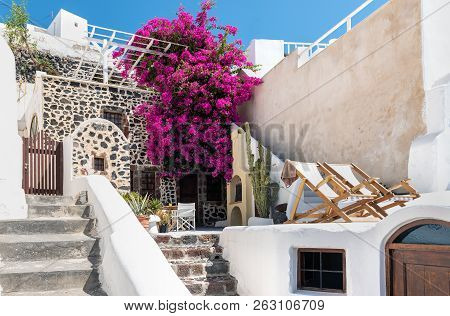 Traditional Greek Yard, Decorated With Bougainvillea Flowers At Santorini Island, Greece