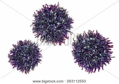 Thyroid Cancer Cells, 3d Illustration. Malignant Tumor Cells Of Thyroid Gland Isolated On White Back