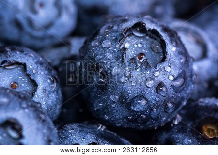 Fresh Ripe Blueberries With Drops Of Dew. Berry Background. Macro Photo.