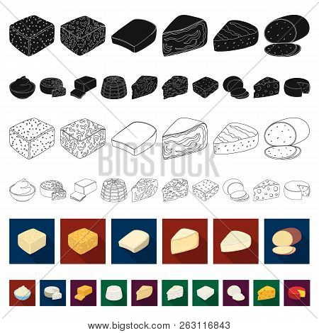 Different Kind Of Cheese Flat Icons In Set Collection For Design.milk Product Cheese Vector Symbol S