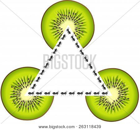 Scalable Vectorial Representing A Cet Of Ants And Kiwi Slices Shape Triangle Frame, Element For Desi