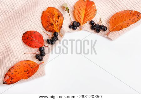 Woomen Gentle Beige Pink Sweater, Dry Autumn Leaves And Aronia Berries On A White Background, Autumn