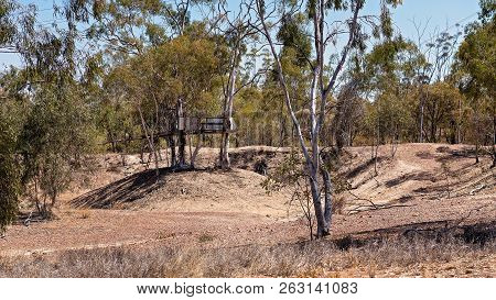 Rustic Structure In A Tree Connected By A Bridge At Sapphire Gem Fields