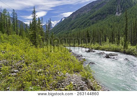 Altai Mountains. The Shawla River Above The Estuary Of The Yeshtykol River. August. Siberia, Russia.